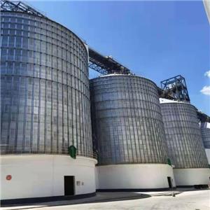 Innovate Grain Silos Products: LIAONING QIUSHI Leads the Industry with Cutting-Edge Solutions