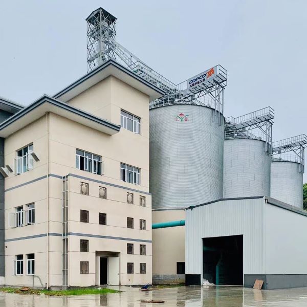 LIAONING QIUSHI Releases In - Depth Scraper Conveyor Maintenance Guide