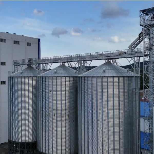 Guarding Every Harvest with Steel Structures: LIAONING QIUSHI Silo Equipment Engineering Co., Ltd. Transforms Storage into Productivity