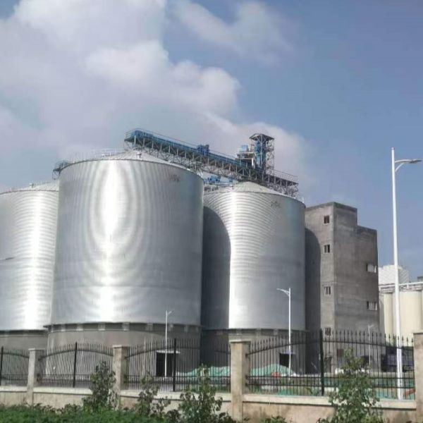 Трансформирано съхранение на зърно: Зелените технологии удължават „живота“ на всяко зърно