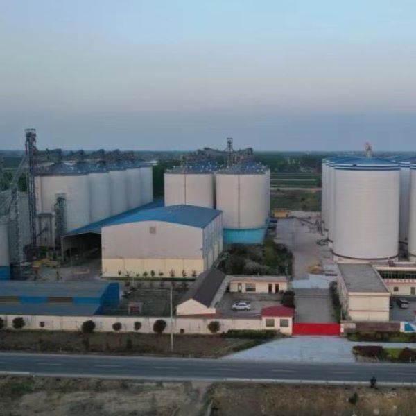 Адаптиране към климата: Зеленото земеделие оформя устойчиво бъдеще за сигурността на зърното