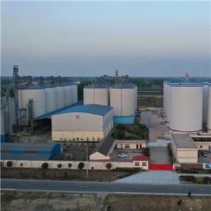 Climate Adaptation: Green Agriculture Shapes a Resilient Future for Grain Security