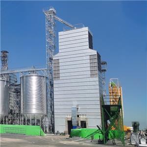 LIAONING QIUSHI Unlocks Grain Storage Quality: Research-Driven Drying Solutions for Corn & Paddy