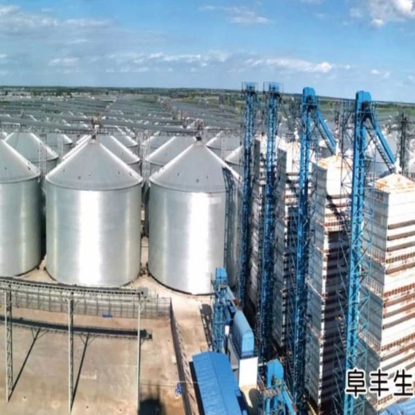 LIAONING QIUSHI Completes 3,000-Ton Paddy Silo Project in Vietnam, Bolstering Local Grain Storage Capacity
