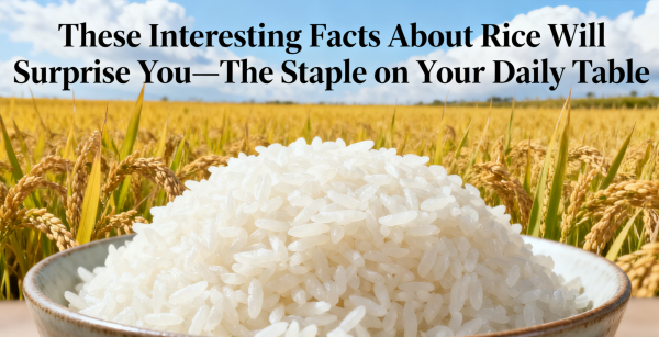 Rice