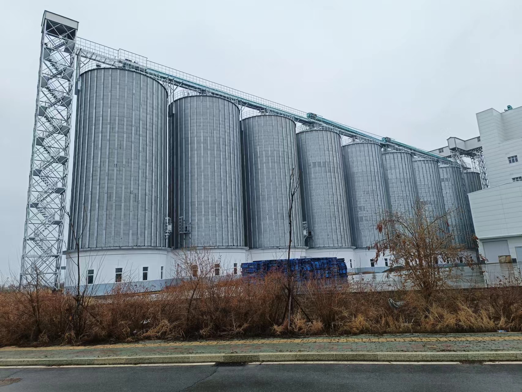 Steel Silo Supplier Steel Silo Supplier