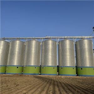 প্রিমিয়ার ঢেউতোলা ইস্পাত শস্যদানা কারখানা - বিশ্বব্যাপী শস্য সুরক্ষার জন্য নির্ভরযোগ্য স্টোরেজ সমাধান