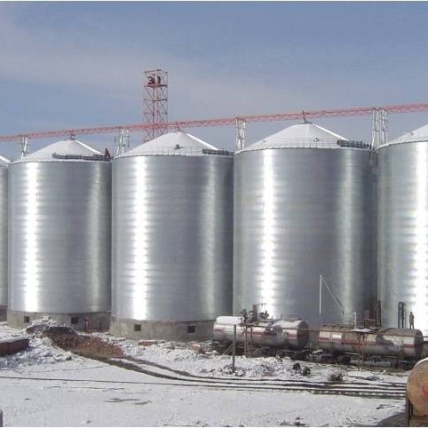 Liaoning Qiushi & Global Leaders Shaping Secure Bulk Storage