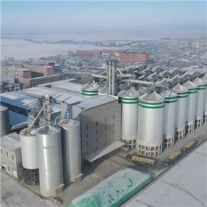 Prefabricated Insulated Steel Silo Project for Thai Rice Giant