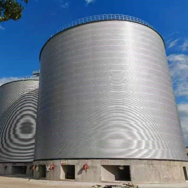 Menyampaikan Projek Silo Keluli Bertebat 20,000 Tan