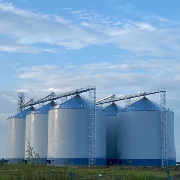 Hoàn thành dự án silo thép cách nhiệt 60.000 tấn tại châu Á, góp phần tăng cường an ninh lương thực khu vực.