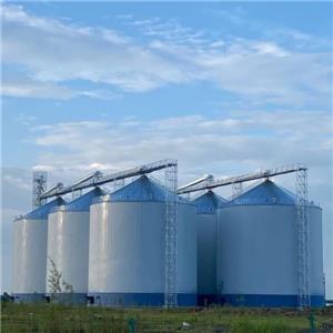 تسليم مشروع صومعة فولاذية معزولة بسعة 60 ألف طن في آسيا، مما يعزز الأمن الغذائي الإقليمي