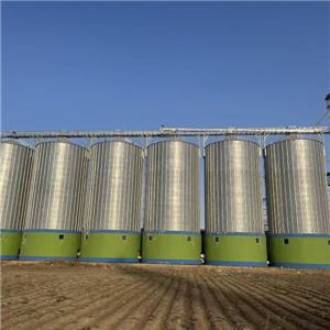 Nghiên cứu điển hình: Dự án silo thép 12.000 tấn trang bị 7 bộ thiết bị phụ trợ, chuyển đổi kho chứa ngũ cốc tại Anjiuguhe.