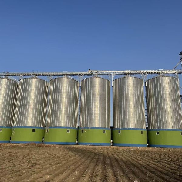 Un complexe de silos en acier est officiellement opérationnel, ouvrant la voie à la modernisation agricole grâce à une technologie de pointe.