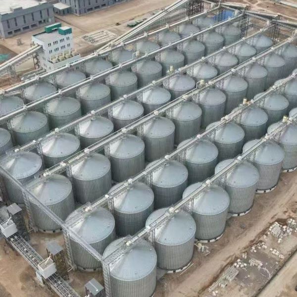 ราคาผันผวนและการเปลี่ยนแปลงนโยบายกำลังปรับเปลี่ยนตลาดธัญพืช