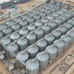 অস্থির দাম এবং নীতিগত পরিবর্তন শস্য বাজারকে নতুন রূপ দেয়