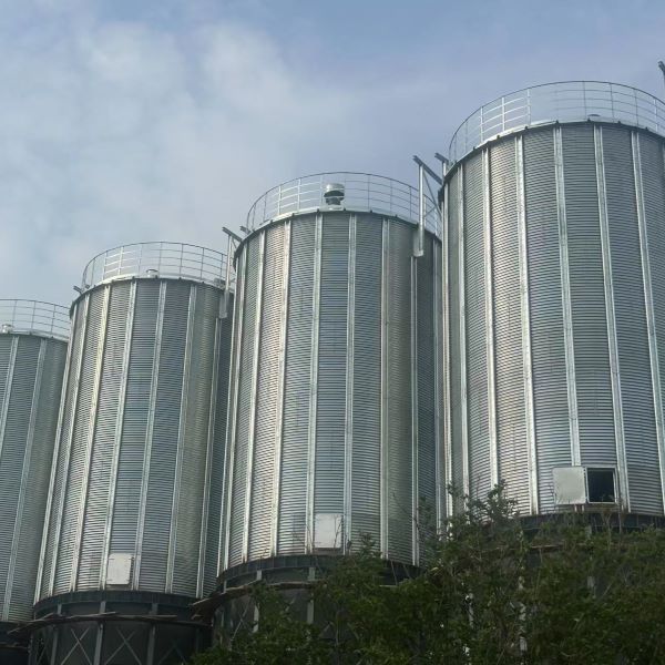 Vietnam Commissions New 29,000-Ton Grain Silo Complex to Bolster Food Security and Export Stability