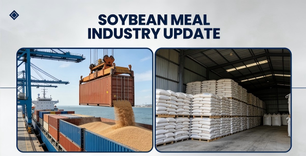 Soybean Meal