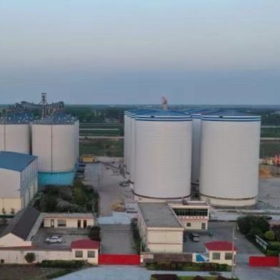 New Anti-Corrosion Wear-Resistant Steel Silos, Upgrading Grain Storage Quality and Efficiency