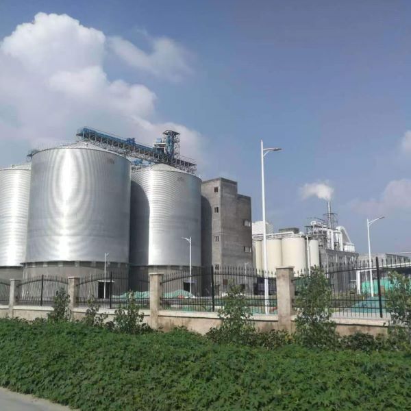 Flat-Bottomed Steel Silos Flat-Bottomed Steel Silos