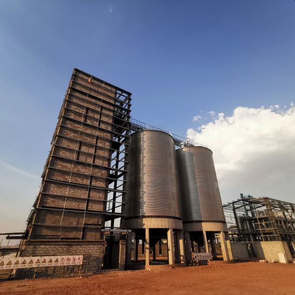 Global Steel Silo and Grain Industry Market Thrives: Intelligence, Sustainability and Infrastructure Upgrade Drive Growth