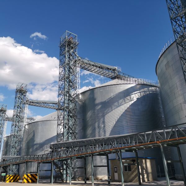 Lipp Spiral Silo for Corn Storage in China: Professional Solution Solving Grain Storage Pain Points
