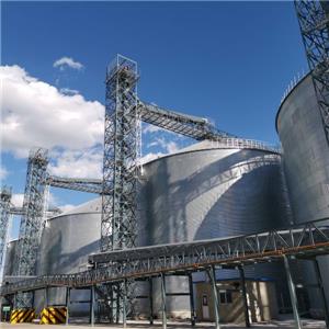 Lipp Spiral Silo for Corn Storage in China: Professional Solution Solving Grain Storage Pain Points