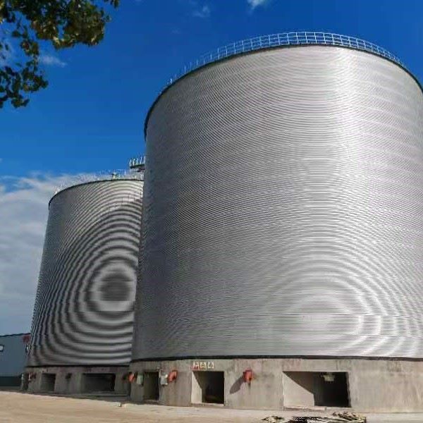 Why Airtight Storage Silos Are Redefining Raw Grain Preservation Standards Across the Global Grain Industry