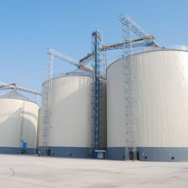 Galvanized Steel Grain Bins: Customized Durable Storage Solutions for Global Feed and Grain Facilities