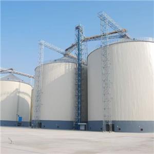 Galvanized Steel Grain Bins: Customized Durable Storage Solutions for Global Feed and Grain Facilities