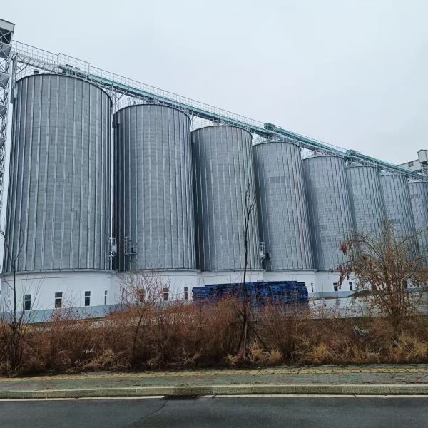La conception de la structure résistante au vent et aux séismes assure la sécurité des silos en acier par temps extrême.
