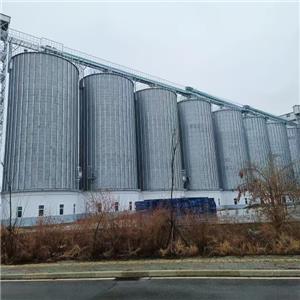 La conception de la structure résistante au vent et aux séismes assure la sécurité des silos en acier par temps extrême.