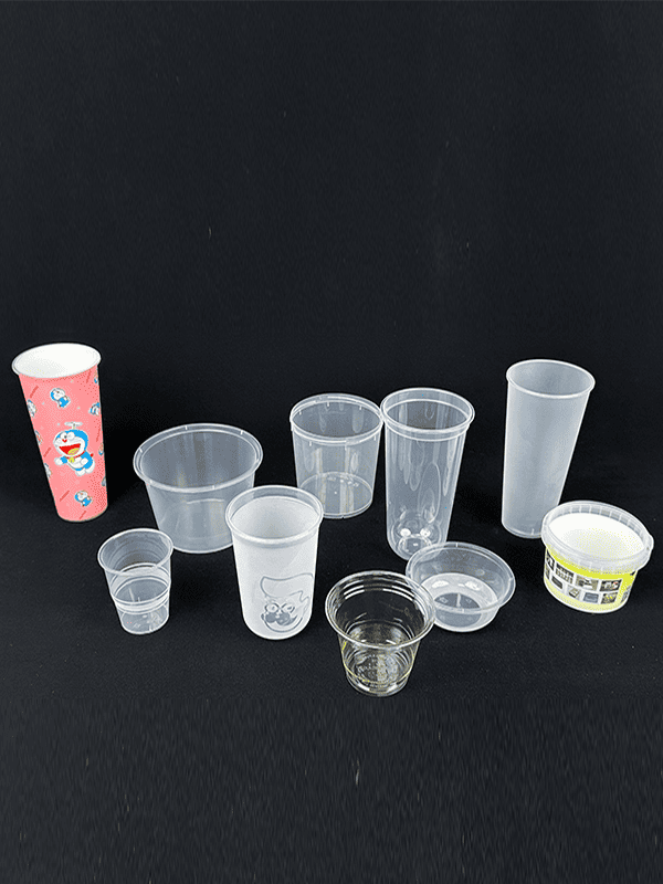 Disposable plastic container mold manufacturer