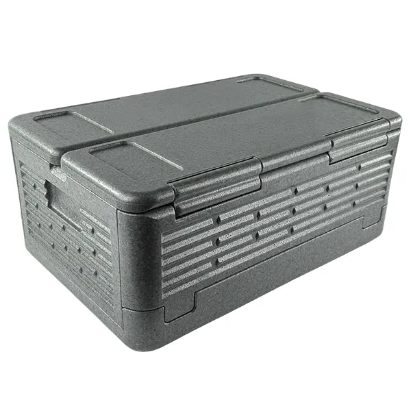 EPP thermal box manufacturing