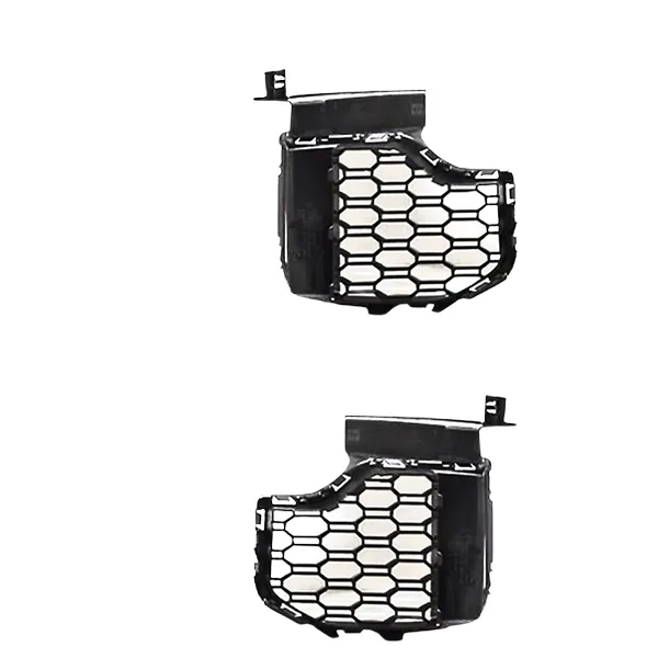 BMW Kidney Grille injection mold