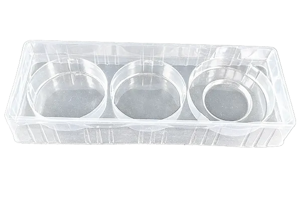 Emballages plastiques thermoformés pour cosmétiques, aliments et électronique : solutions PET avancées