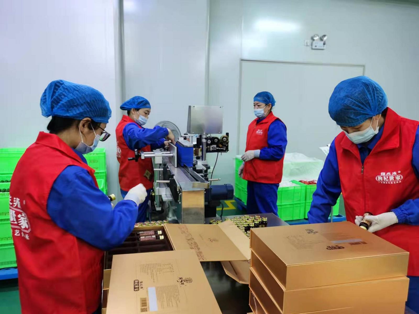 Ningxia Goji Berry Industry Flourishes Through Brand Narratives and Technological Innovations