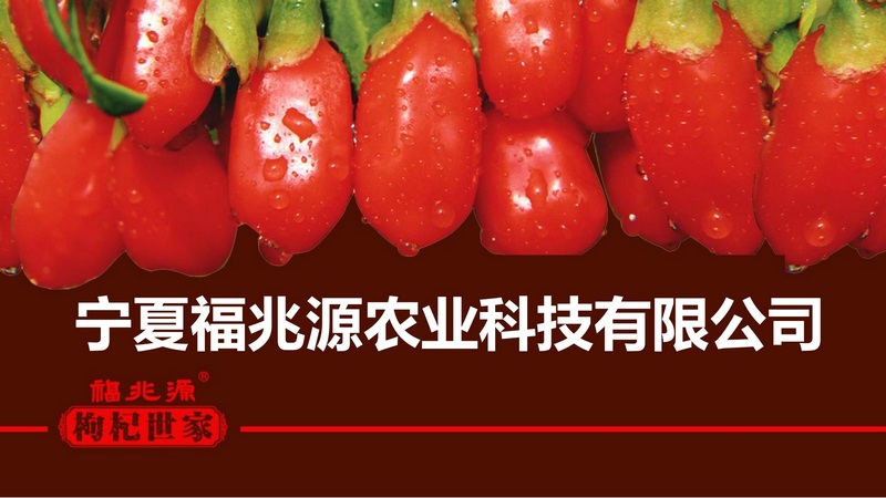 Ningxia Fuzhaoyuan Agricultural Technology Co., Ltd.