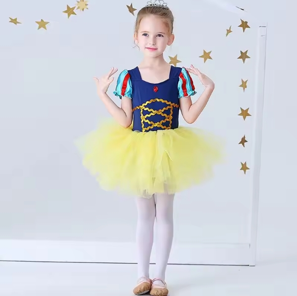 Ballet White Dress Tutu Kids