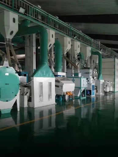 SESAME CLEANING PROCESSING EQUIPMENT SESAME CLEANING PROCESSING EQUIPMENT