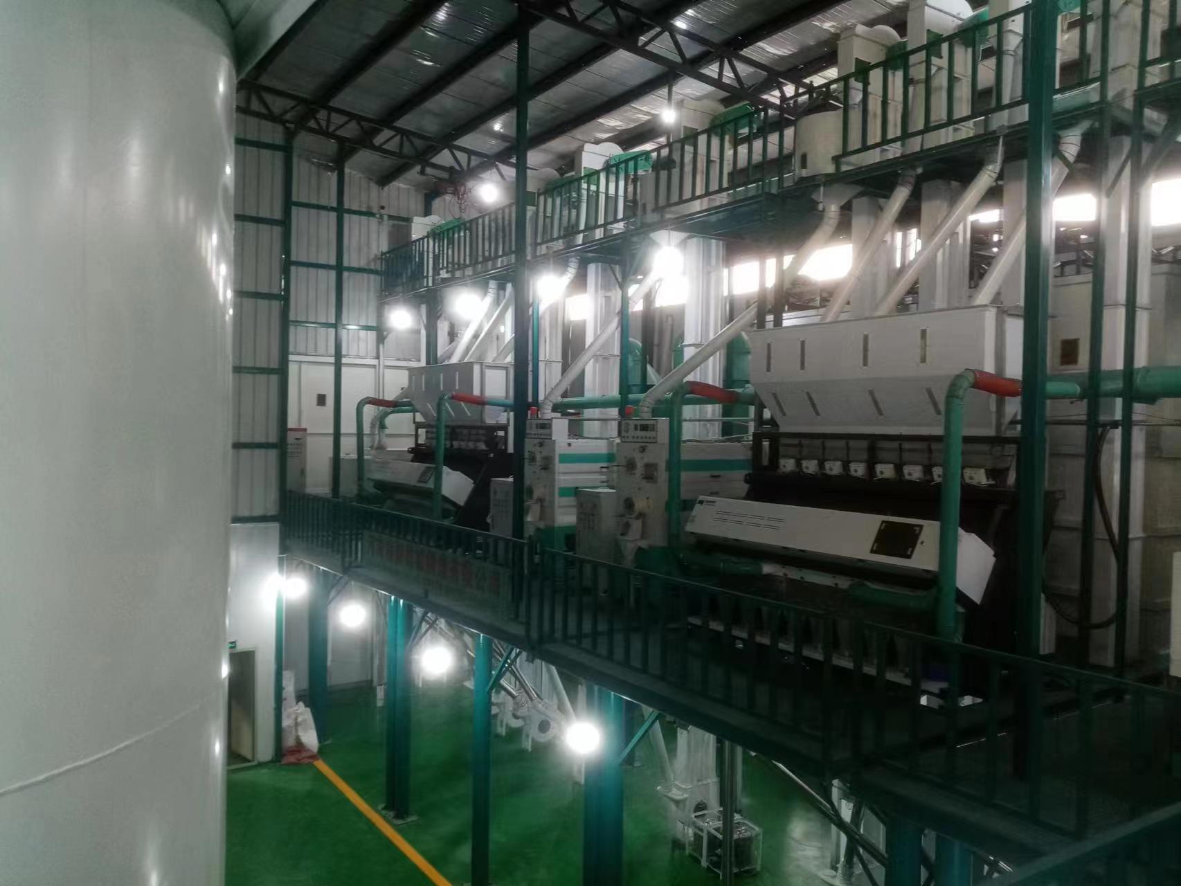 turnkey project rice processing plant