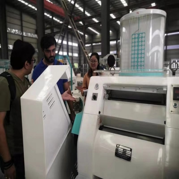 120T/D High Output Low Power Rice Flour Making Machine