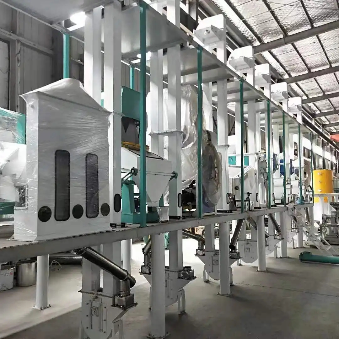 200 ton per day rice processing equipment