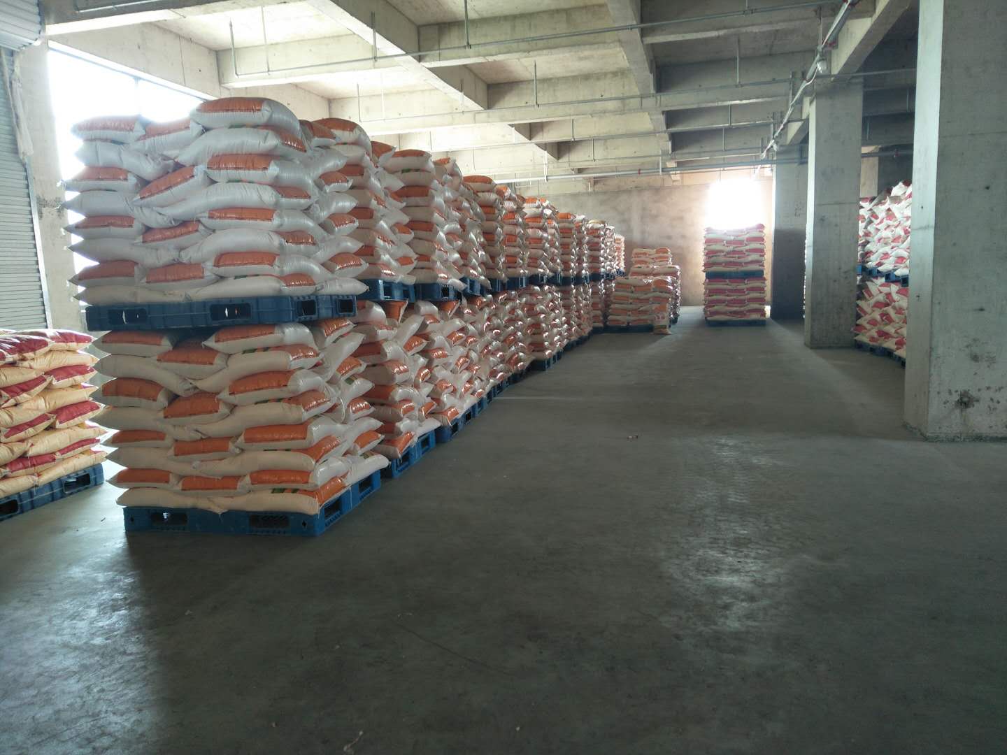 multi corn flour grits germ processing equipment
