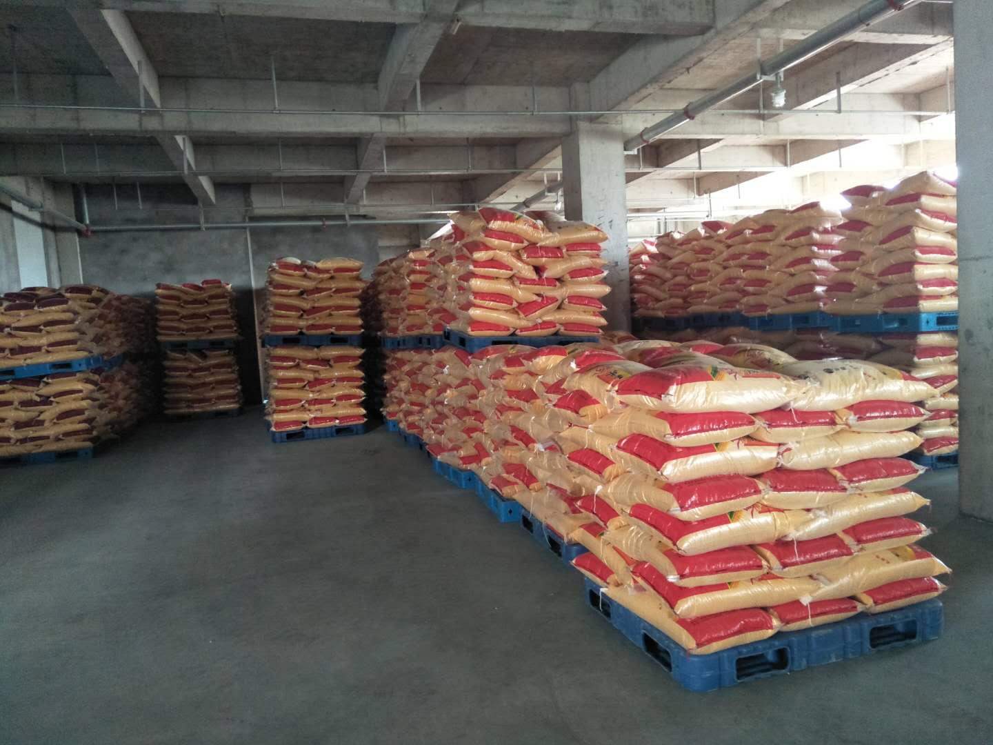 fully automatic corn processing equipment