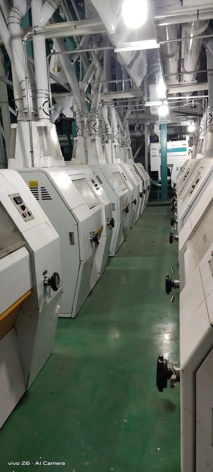 300 ton per day corn flour processing plant