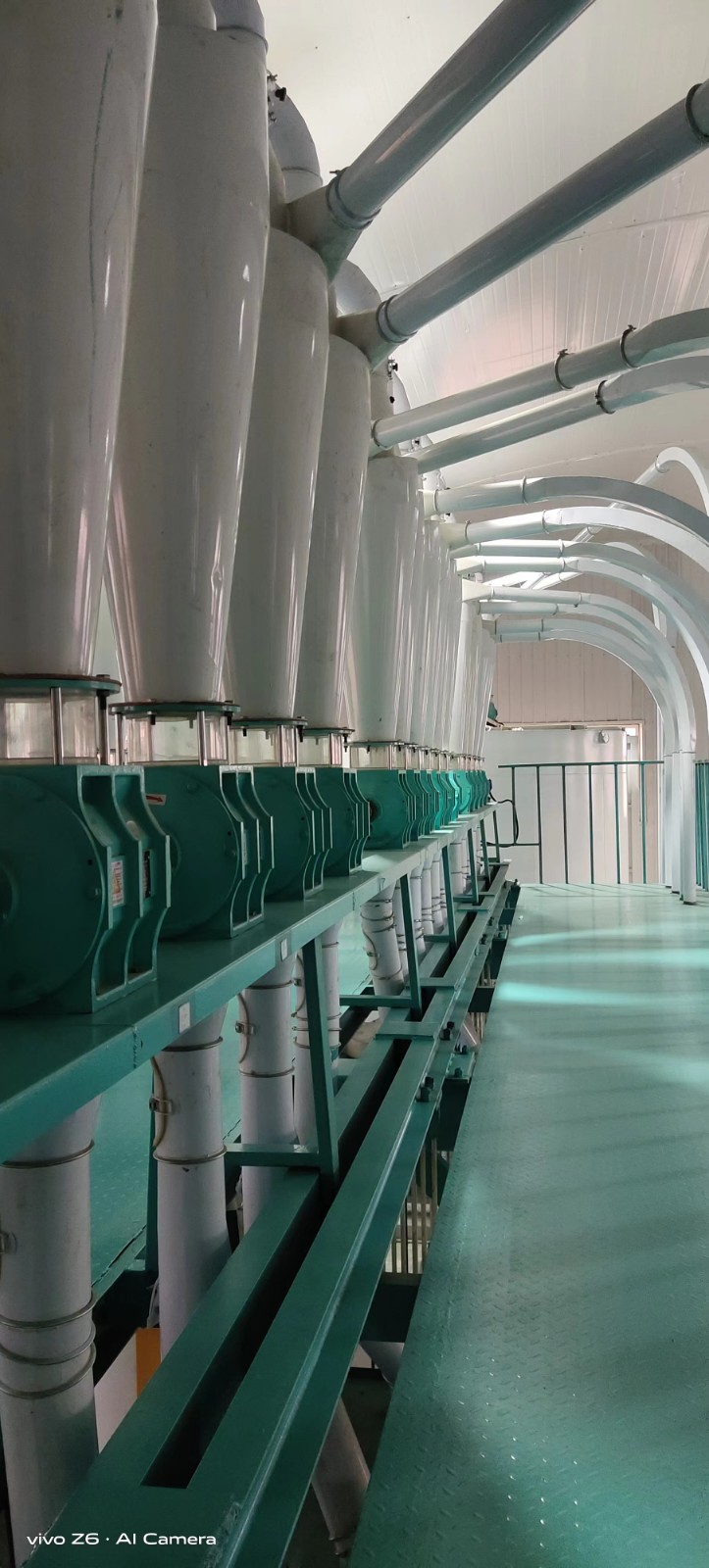 multi corn flour grits germ processing equipment