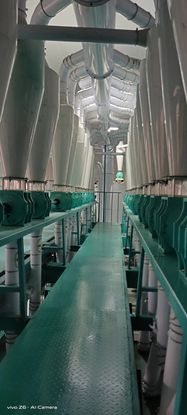 multi corn flour grits germ processing equipment