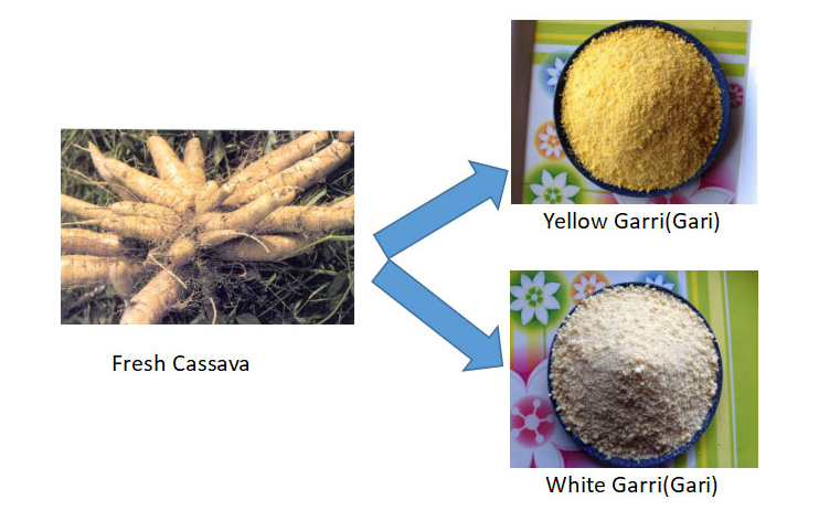 stainless steel cassava flour processing machine