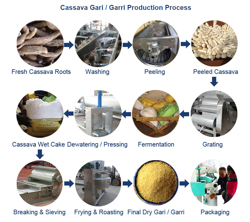 Modern cassava flour processing machine